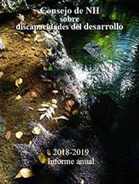 2018-2019 Annual Report in Spanish